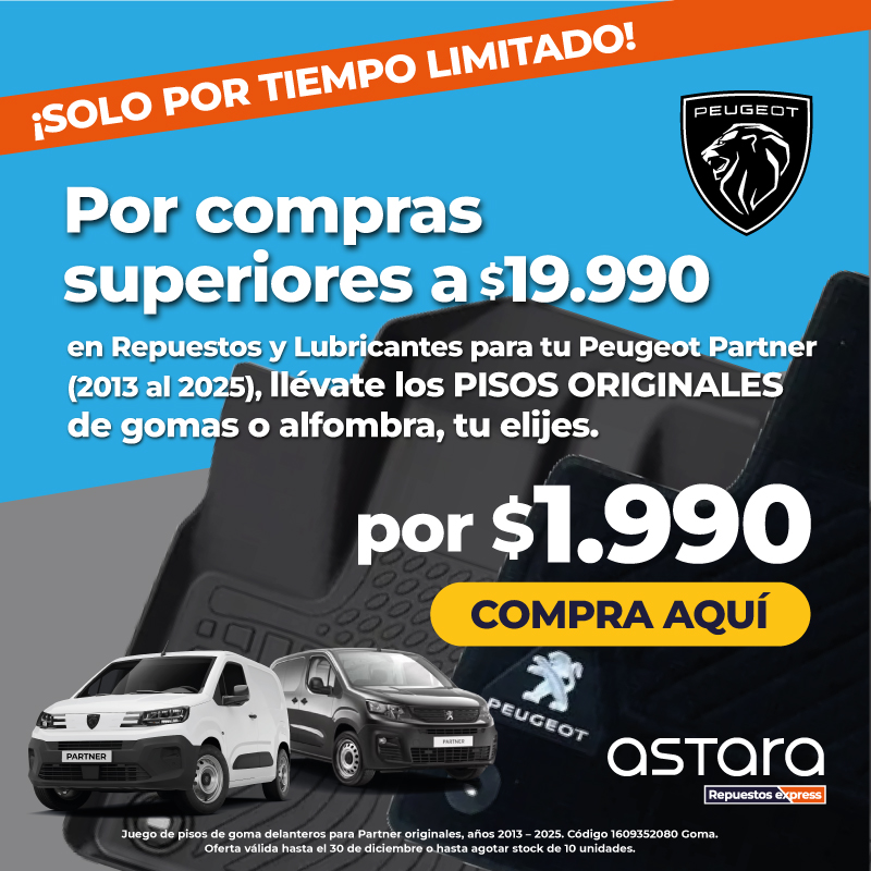 REPUESTOS Y ACCESORIOS PEUGEOT