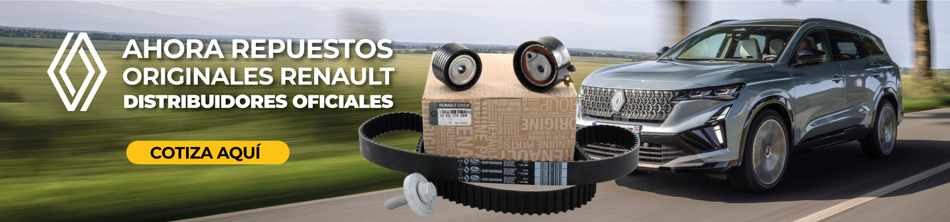 REPUESTOS Y ACCESORIOS RENAULT